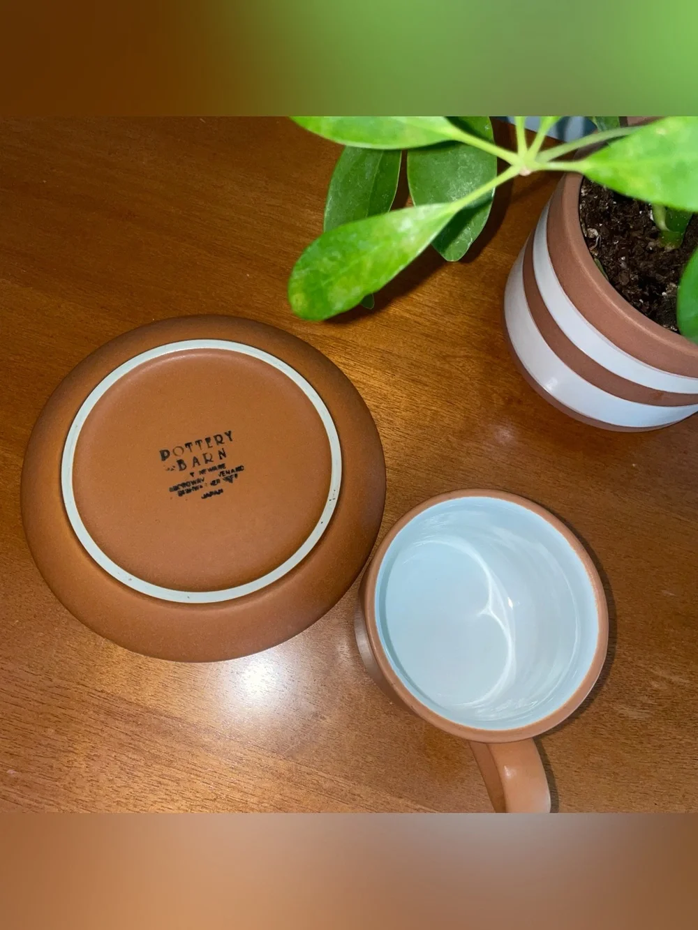 Pottery Barn Terracotta Cup & Saucer